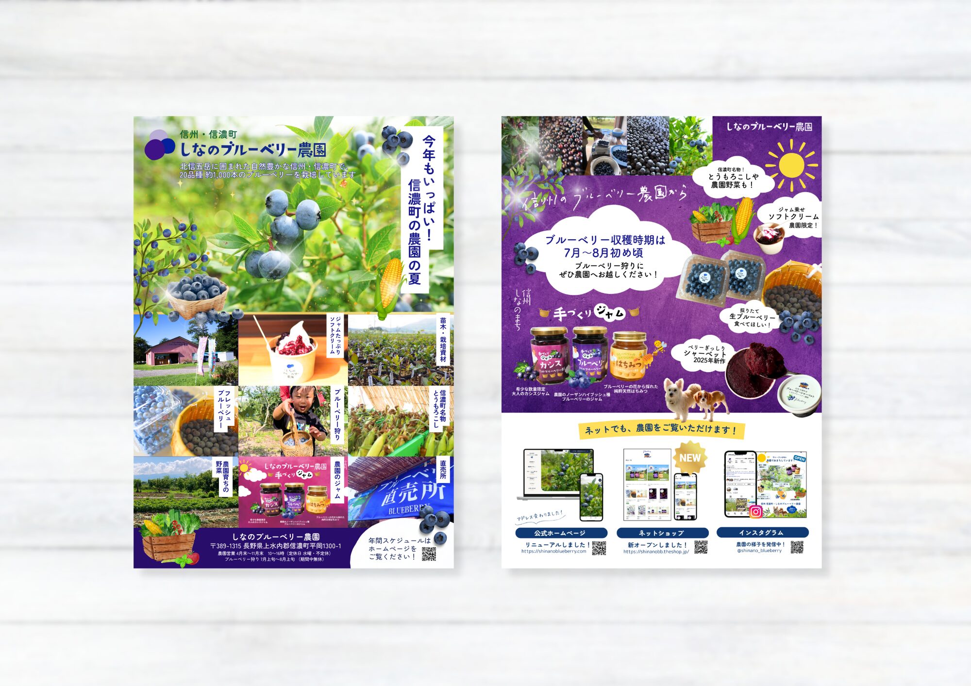 しなのブルーベリー農園チラシ