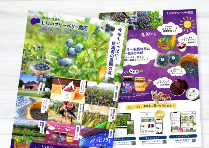 しなのブルーベリー農園チラシ